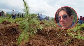 Probosque alista 6 millones de árboles para la campaña de reforestación 2026 en Edomex