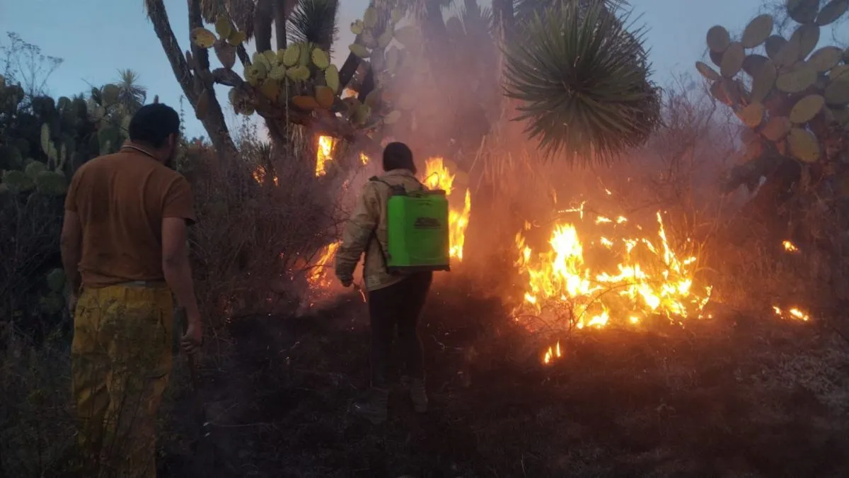 PC Edomex advierte que 9 de cada 10 incendios son provocados