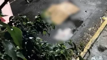 Muere hombre tras ser atropellado en Valle de Chalco, conductor huyó del lugar