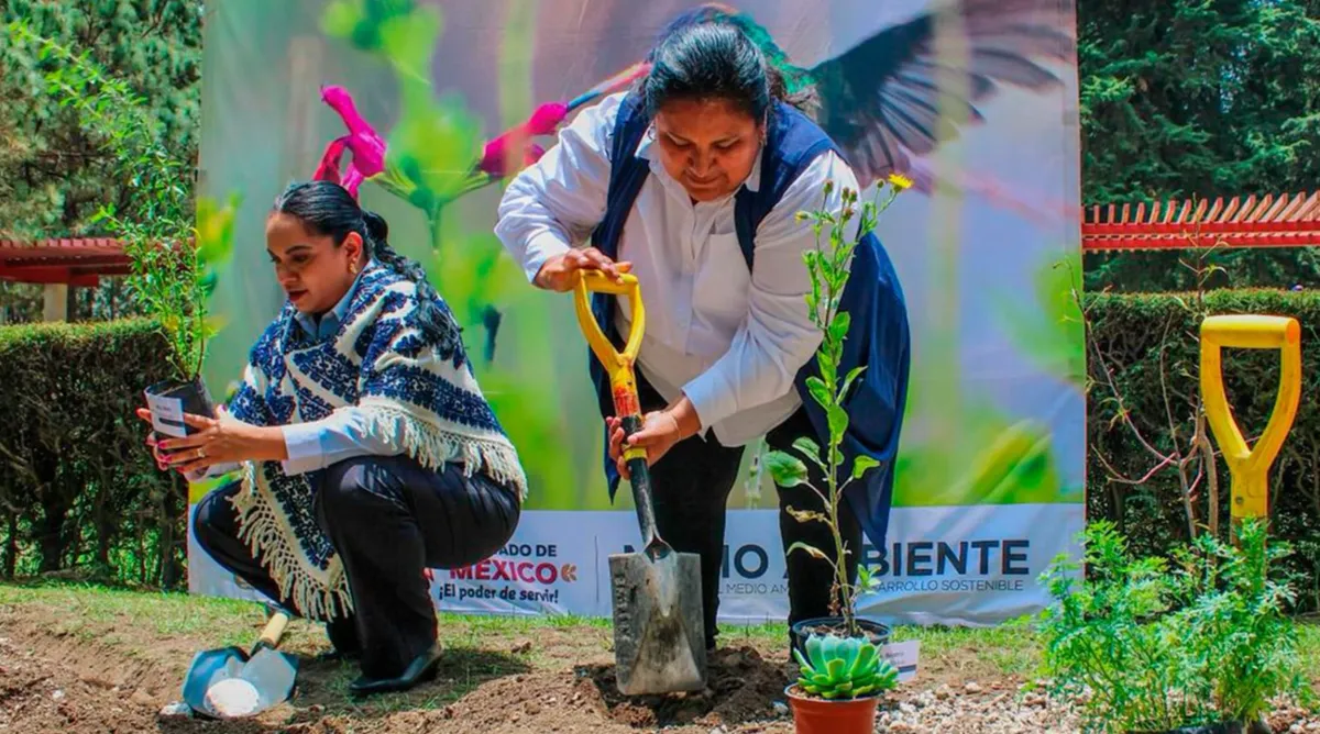 Captación de agua pluvial en Toluca 2026: ¿Cómo funcionan los sistemas de la CAEM?