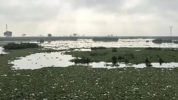 Río Lerma continúa con contaminación crónica: Estudio