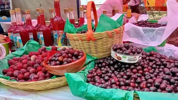 Concluye la Feria del capulín en Atlautla