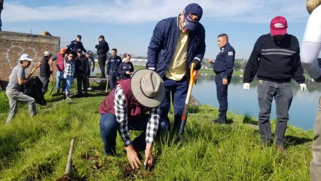 ¡Lleva Toluca plantados más de 135 mil árboles!, supera Gobierno municipal meta de reforestación