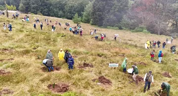 SMAyDS planta dos millones de árboles en reservas naturales del Edomex