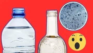 Las botellas de vidrio, consideradas más ecológicas, podrían contener hasta 50 veces más microplásticos que las de plástico.