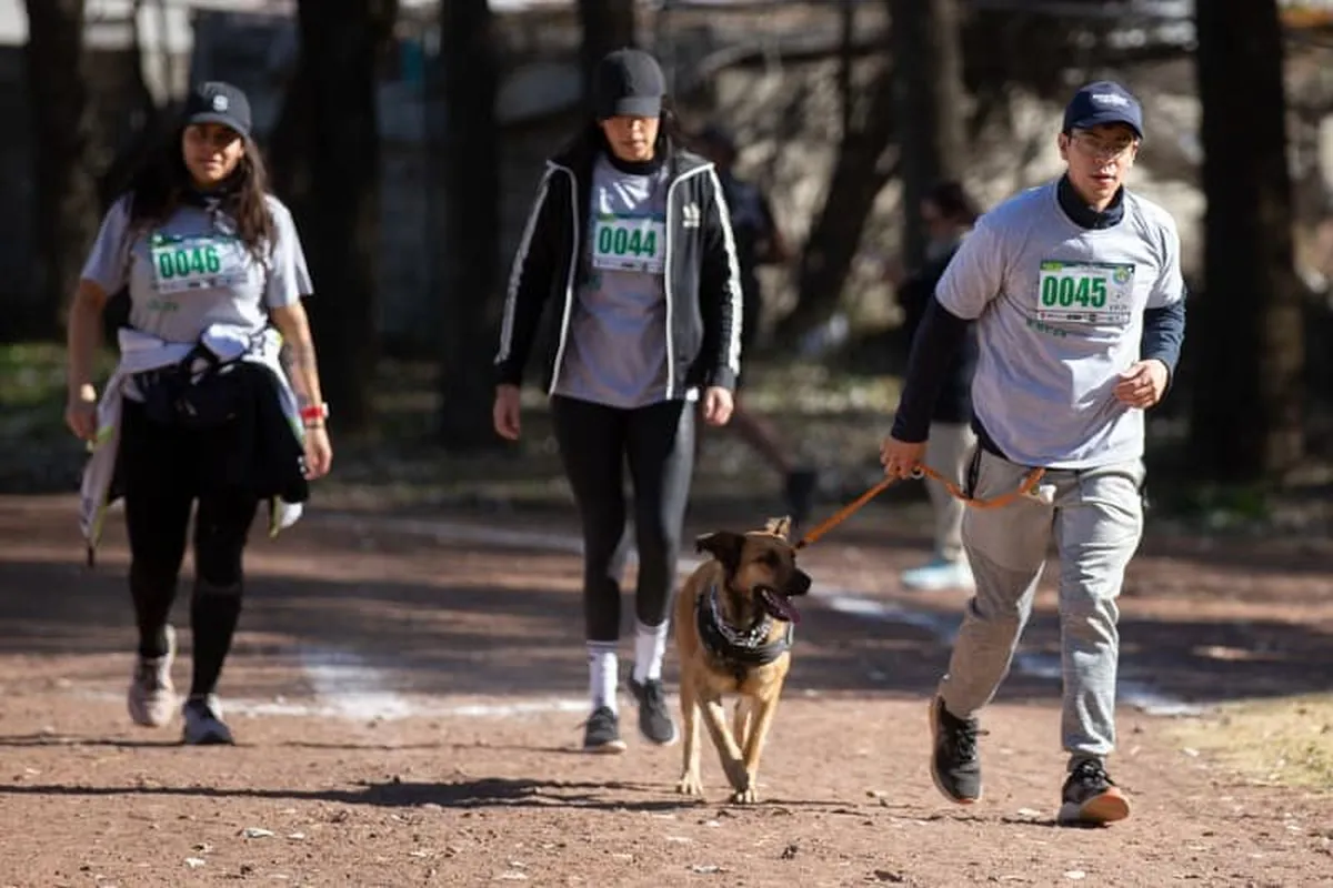 Toluca: Mexiquenses y mascotas participaron en “Peludízate” para apoyar a Guerreros Caninos A.C.