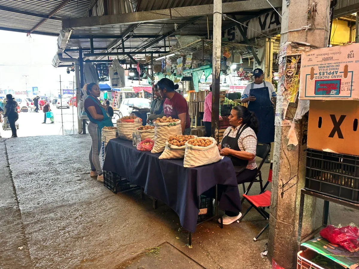 Productores de nuez de Castilla de Atlautla venderán directo en la Central de Abasto de Ecatepec