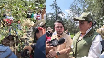 Cuautitlán Izcalli celebra el Día del Árbol con la siembra de 7,100 ejemplares