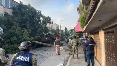 Elementos de Protección Civil y Bomberos de Ecatepec acudieron al lugar para retirar el tronco y ramas que bloqueaban la entrada.
