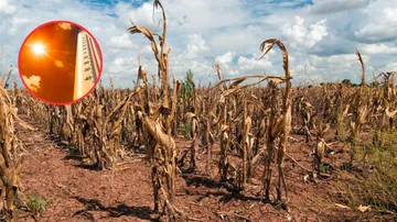 Aumento de temperaturas en Edomex alerta por posible sequía en 2026