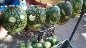 Antiguamente, niñas y niños lo vaciaban y tallaban para convertirlo en un farol con el que salían a pedir calaverita.