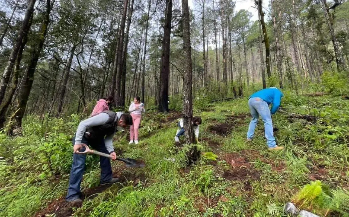 Este esfuerzo cuenta con el respaldo del gobierno estatal, liderado por la maestra Delfina Gómez Álvarez, y con la participación activa de gobiernos municipales.