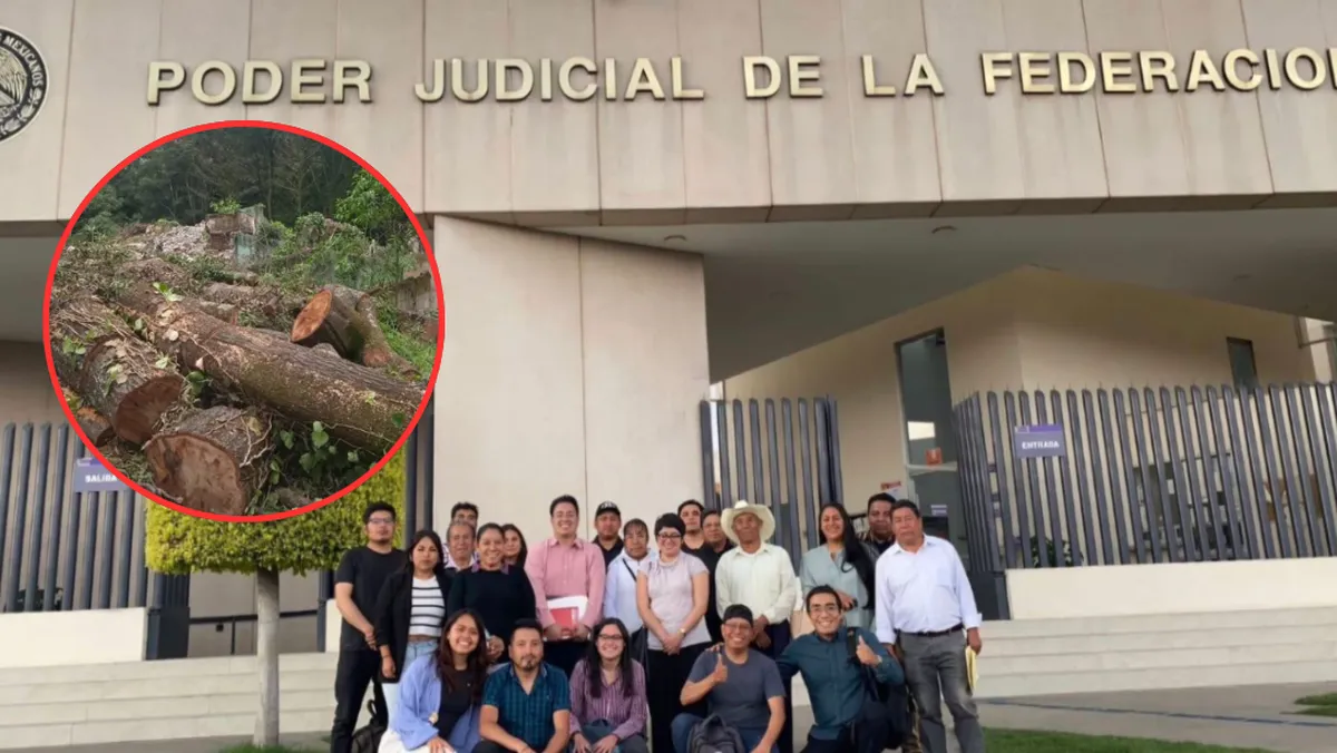Freno a la tala en Texcoco: UNAM y comunidad indígena instalarán mesa técnica por bosques de Oyamel