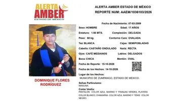 Alerta Amber: Se busca a Dominique Flores Rodríguez, desaparecido en  Zumpango