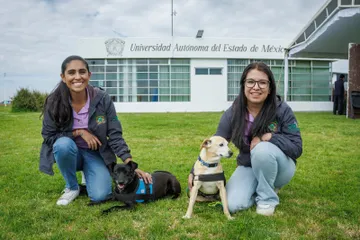 Toluca: Habrá campaña de esterilización para perros y gatos