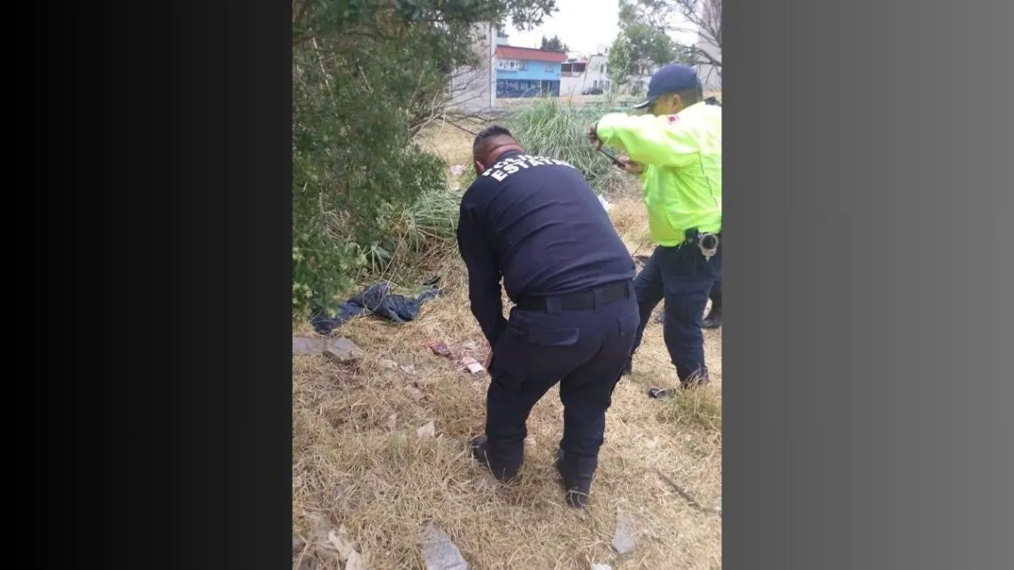 Metepec: entre la maleza, hallan a recién nacido