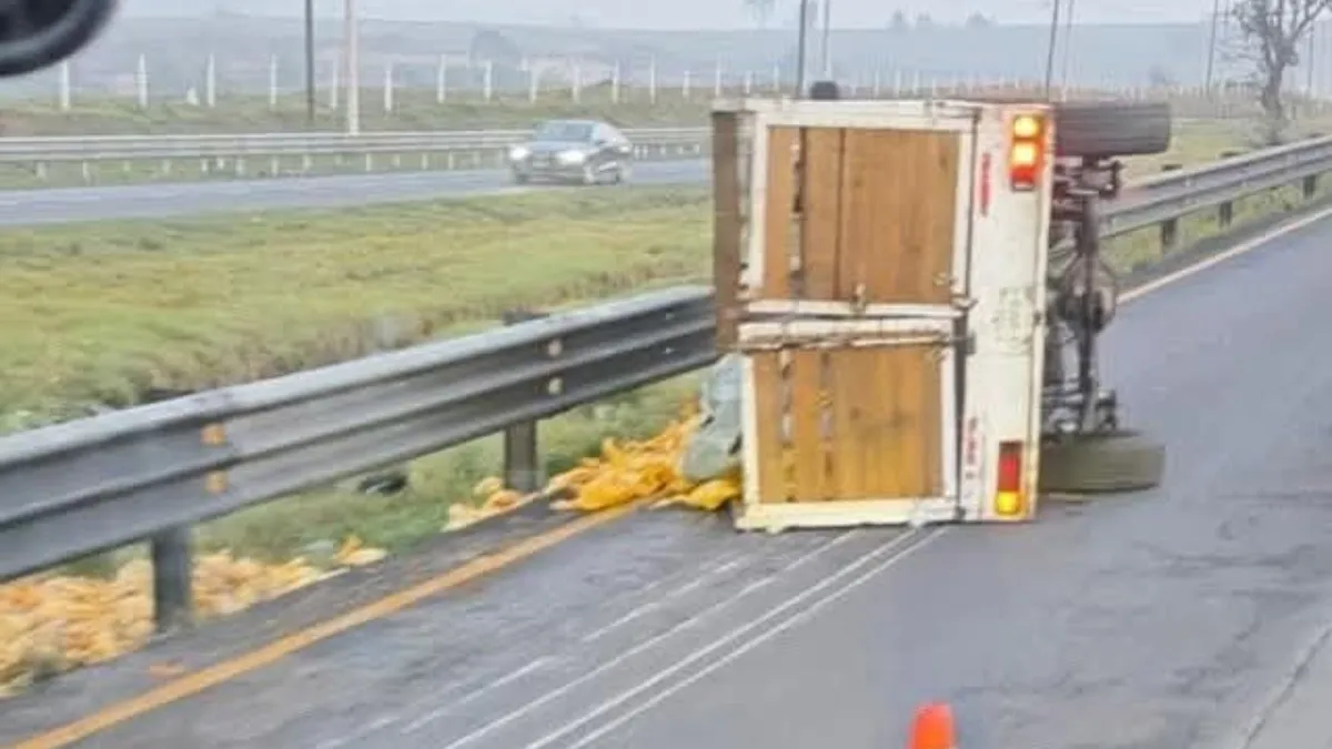 Volcadura de camioneta con pollos en la Toluca-Ixtlahuaca