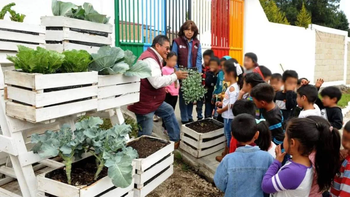 Texcaltitlán: Fortalece DIFEM alimentación familiar con huertos escolares y orientación nutricional