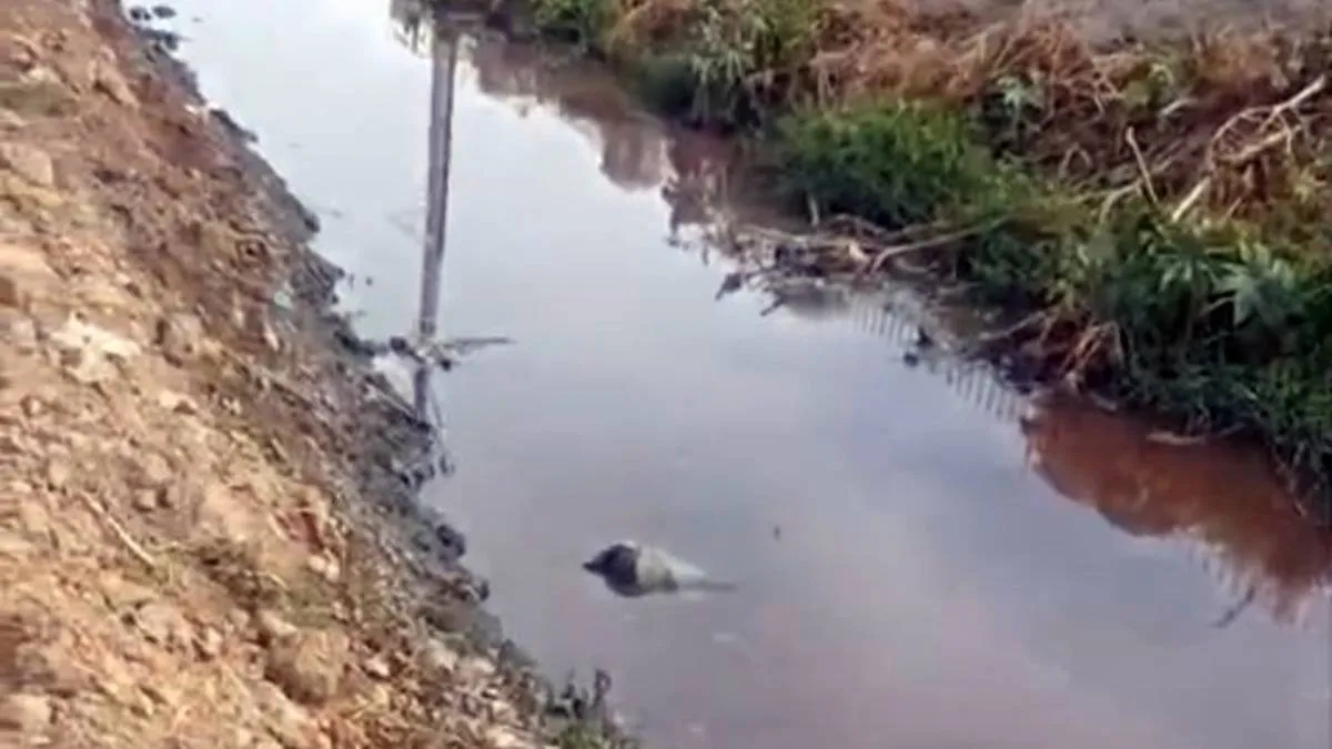 Denuncian descarga de aguas contaminantes en canal de Tultepec