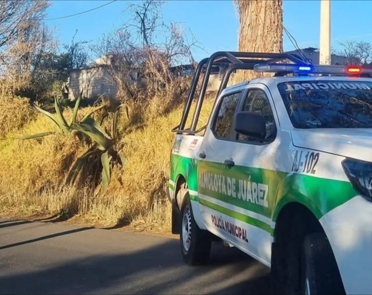 Hasta el momento, la víctima no ha sido identificada.