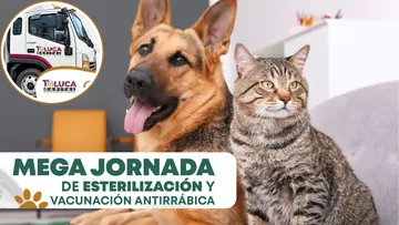 Megajornada de esterilización y vacunación en Toluca. Checa cuándo y dónde