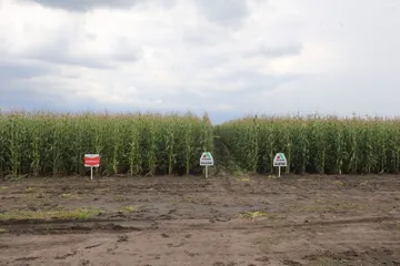 Conocimiento científico de la UAEMéx al servicio del campo