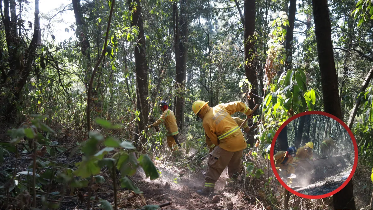 Huixquilucan crea más de 27 mil metros cuadrados de brechas cortafuego