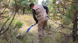 Edomex reforzará búsqueda de personas desaparecidas en zonas forestales