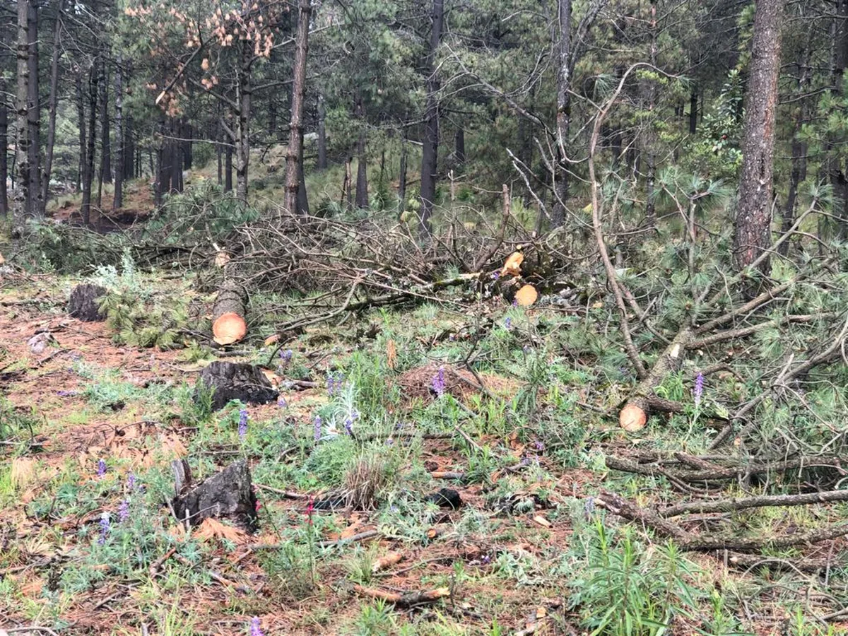 Congreso mexiquense reabre conflicto territorial entre Jilotzingo y Atizapán