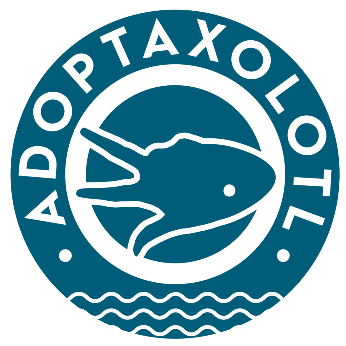Adoptaxolotl: ¿Cómo puedes ayudar al ajolote?