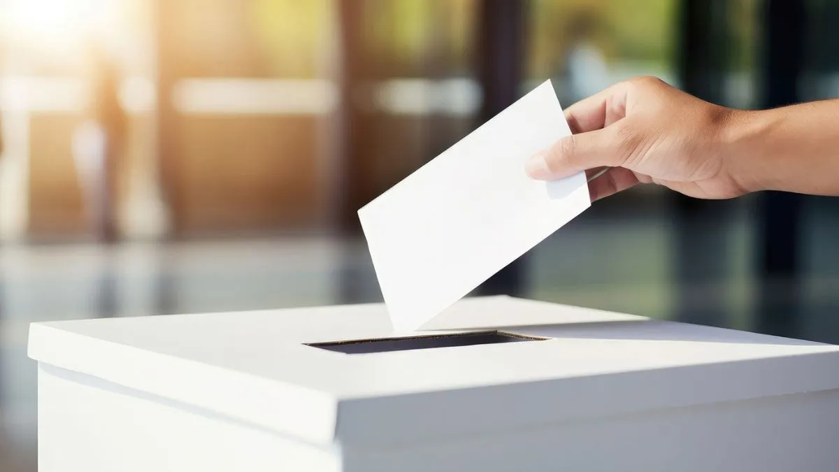 Al margen partidos de la elección judicial
