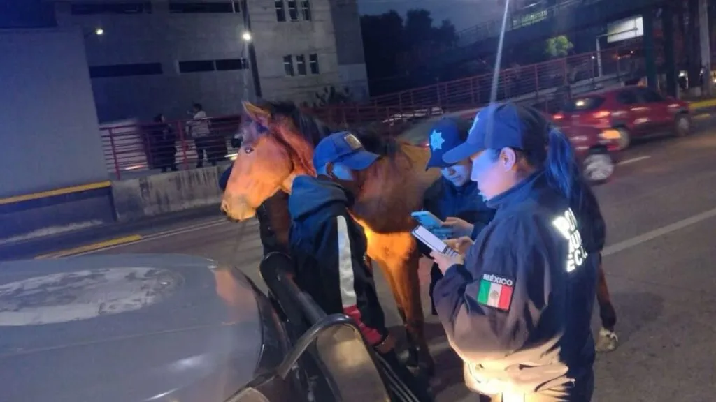 [VIDEO] Caballos escapan y deambulan por calles de Ecatepec
