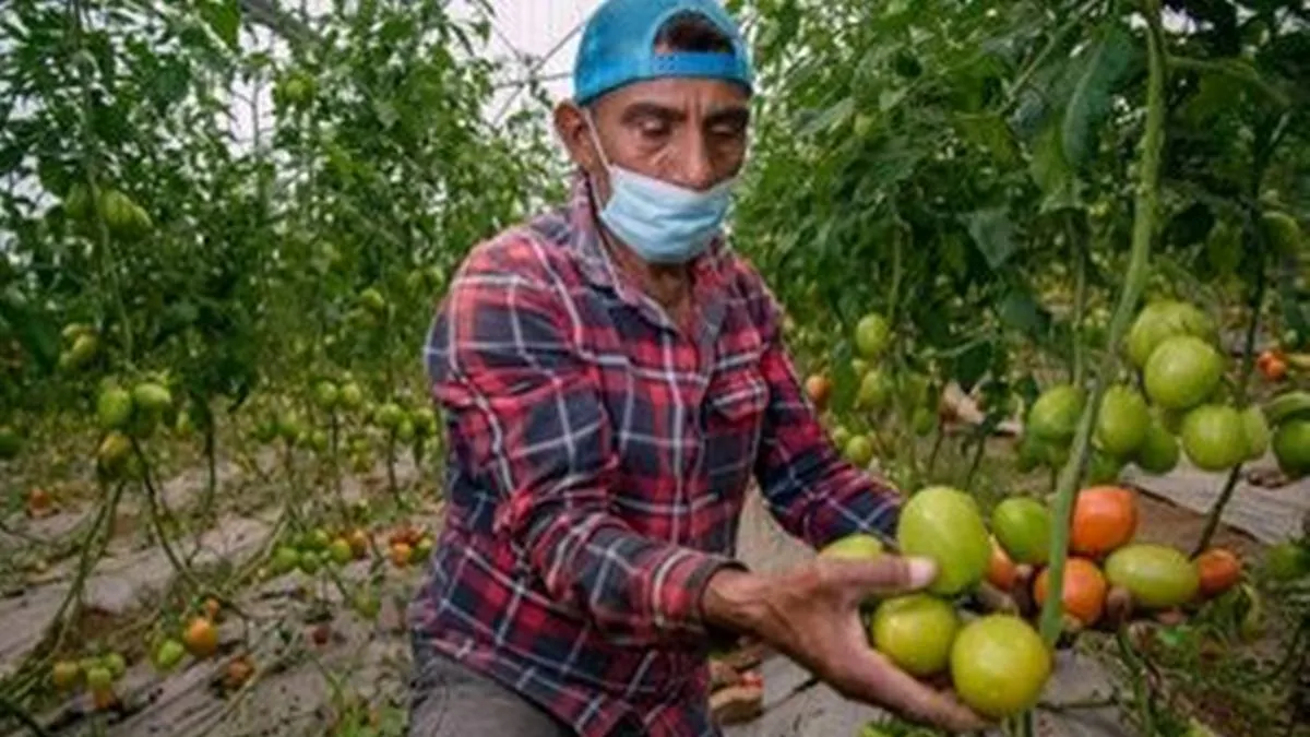 Edomex enfrenta desaceleración en sector primario