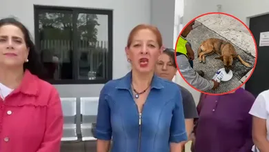 Señalaron que la falta de insumos limita la atención en la Unidad Municipal de Protección Animal ante la creciente problemática de perros y gatos en situación de calle.