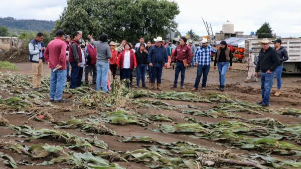 Santiago Tianguistenco: Comienza censo para apoyo a productores