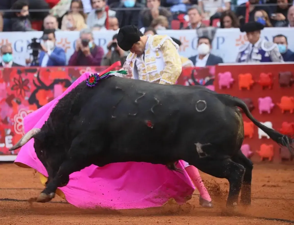 Dicha apelación impugna la decisión del juez federal que frenó hace más de un año la llamada Fiesta Brava en el recinto de la colonia Nápoles. Foto: La Jornada