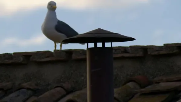 Este 7 de mayo después de la primera ronda de votaciones, la chimenea de la Capilla Sixtina sacó humo negro.