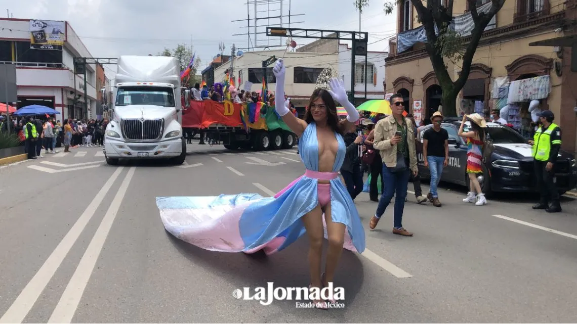Iniciativas de la agenda LGBTTTIQA+ están congeladas