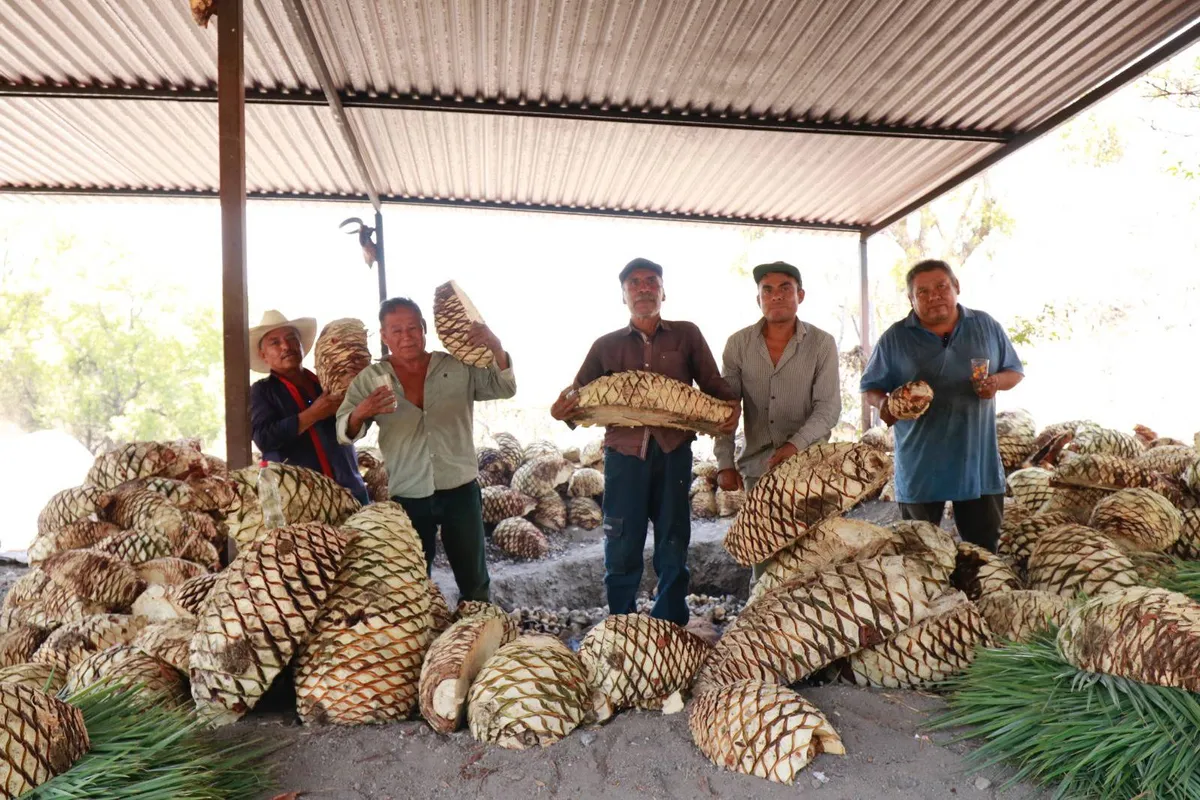 Conmemoran el Día Nacional del Mezcal en Edomex