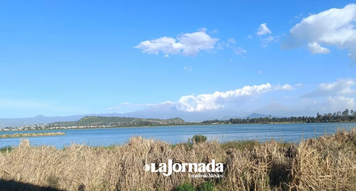 Rescate del Lago Xico, para abastecer y evitar inundaciones: Delfina Gómez