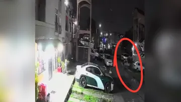 Exigen justicia para el “El Güero”, perro asesinado en Tecámac