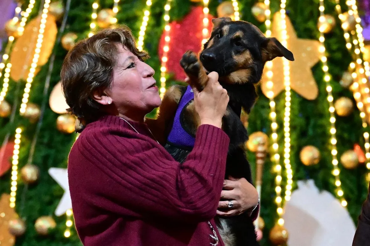 Delfina Gómez entrega 40 toneladas de alimento a rescatistas y asociaciones protectoras de animales
