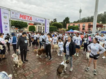 Metepec también tendrá Carrera Pet Friendly 2026