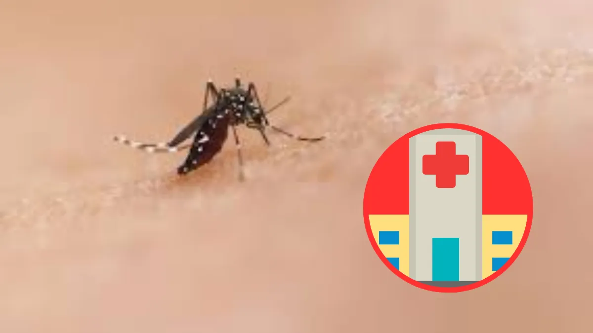 En sur de Edomex 95 casos confirmados de dengue; cinco considerados graves