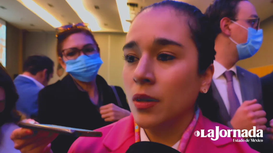 IEEM buscará que mexiquenses radicados en el extranjero voten en 2023
