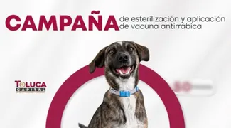 Campaña de esterilización gratis en San Diego Linares. Aquí los detalles
