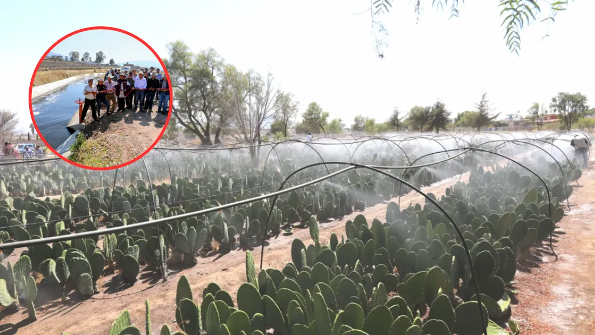 ¿Cómo obtener geomembrana y motobombas gratis en el Edomex?