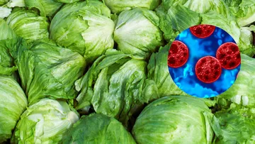 Descartan brotes de Cyclospora en México