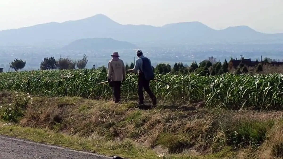 Cinco mil vecinos de Amecameca viven entre frío y la pobreza
