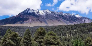 Necesaria protección de bosques para captación de agua: Sebastián Rodríguez